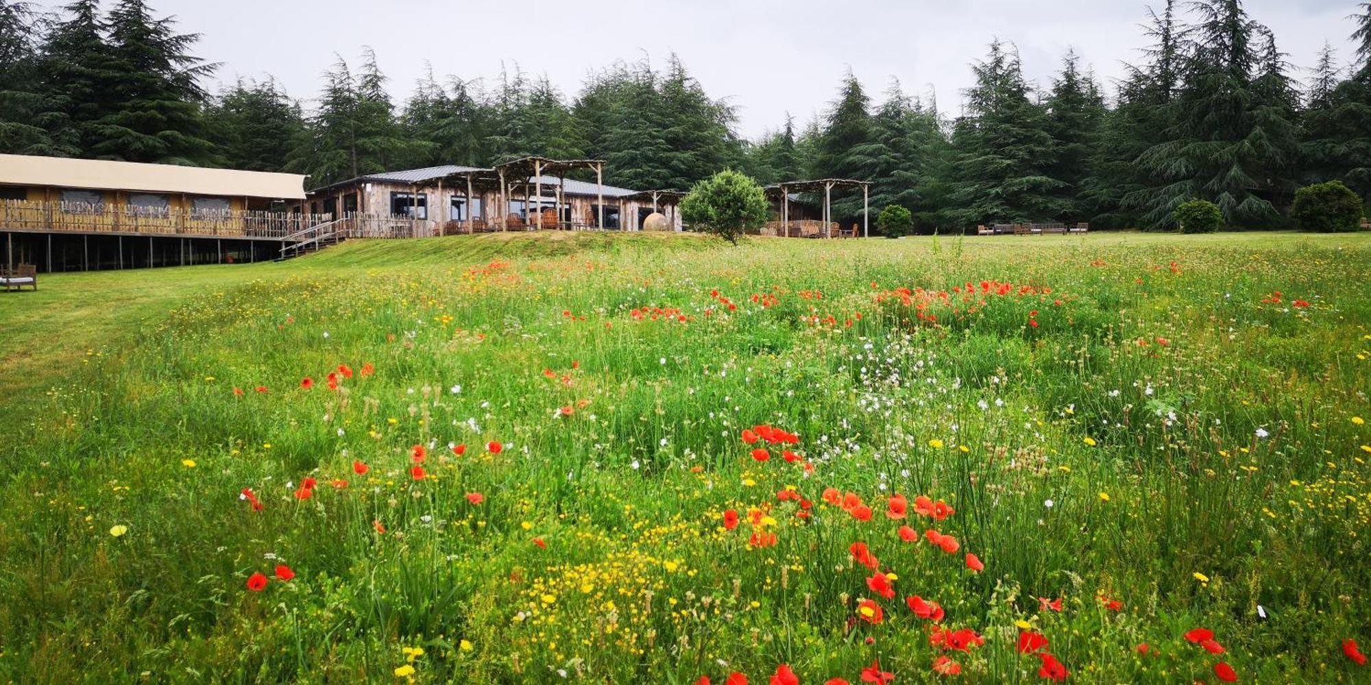 Domaine De La Vitarelle Glamping Villaniere Kültér fotó