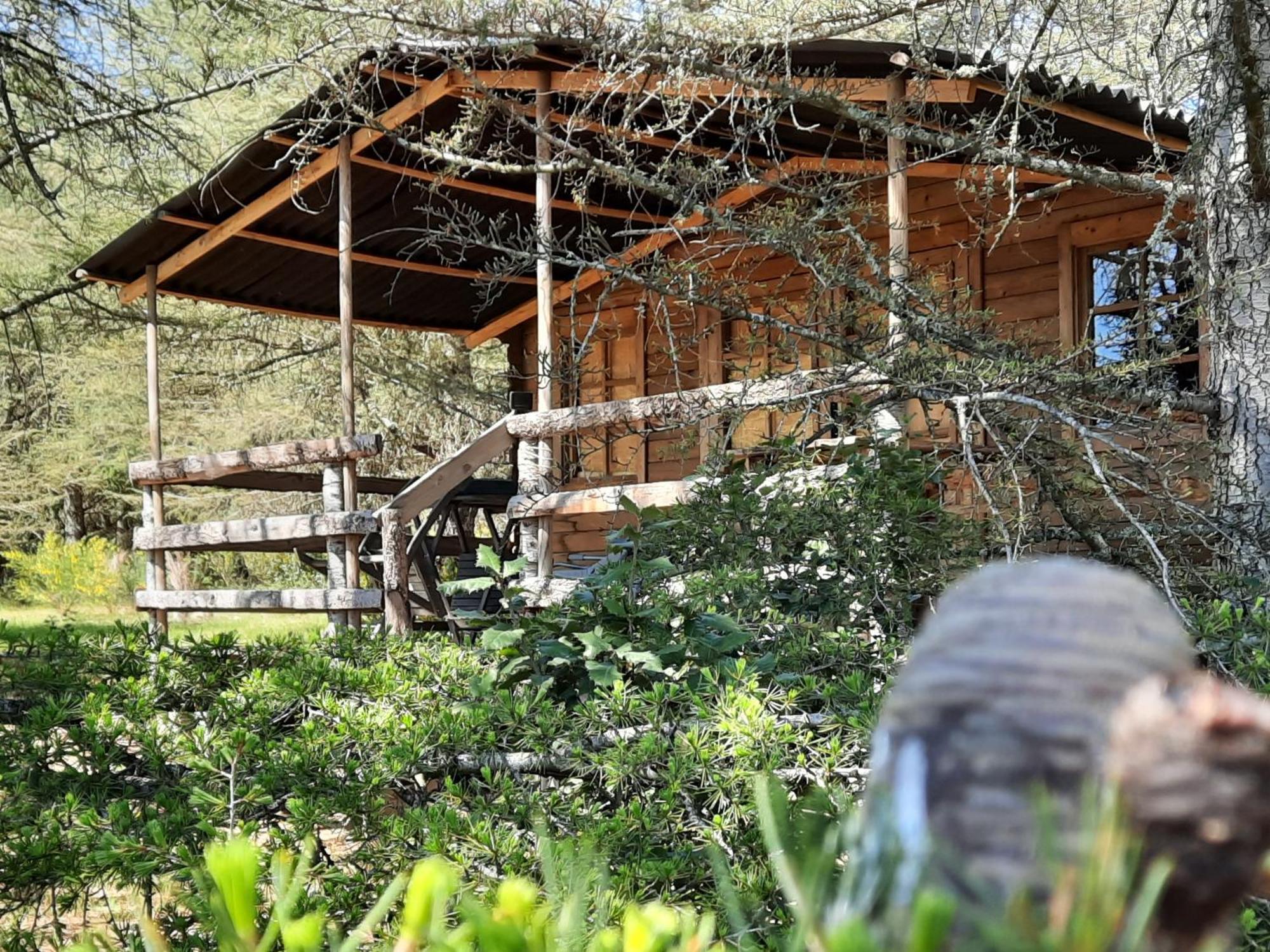 Domaine De La Vitarelle Glamping Villaniere Kültér fotó