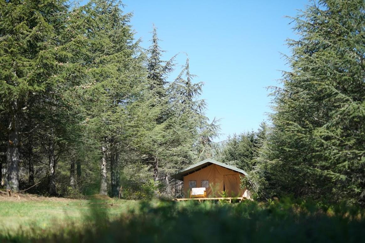Domaine De La Vitarelle Glamping Villaniere Kültér fotó
